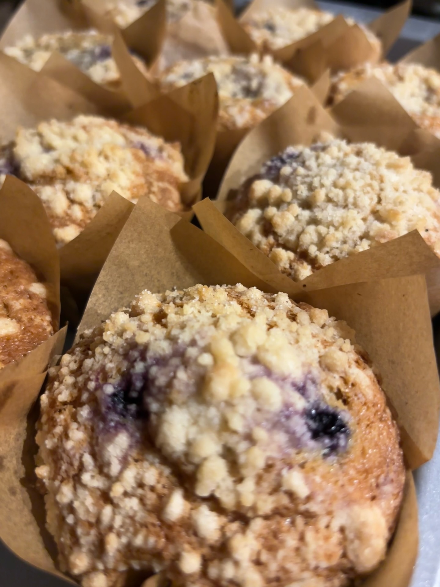 Blueberry Muffin